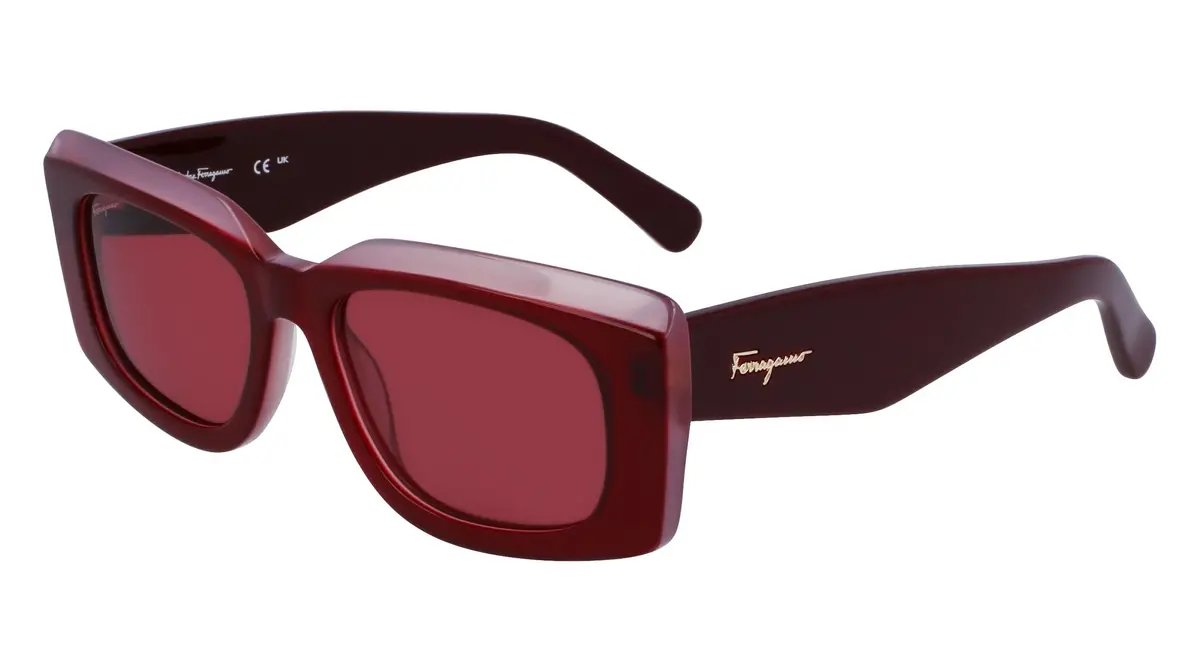 Salvatore Ferragamo Sf1079s Sunglasses 1