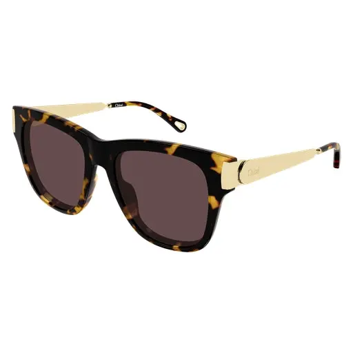 Chloe Ch0349s Sunglasses 1