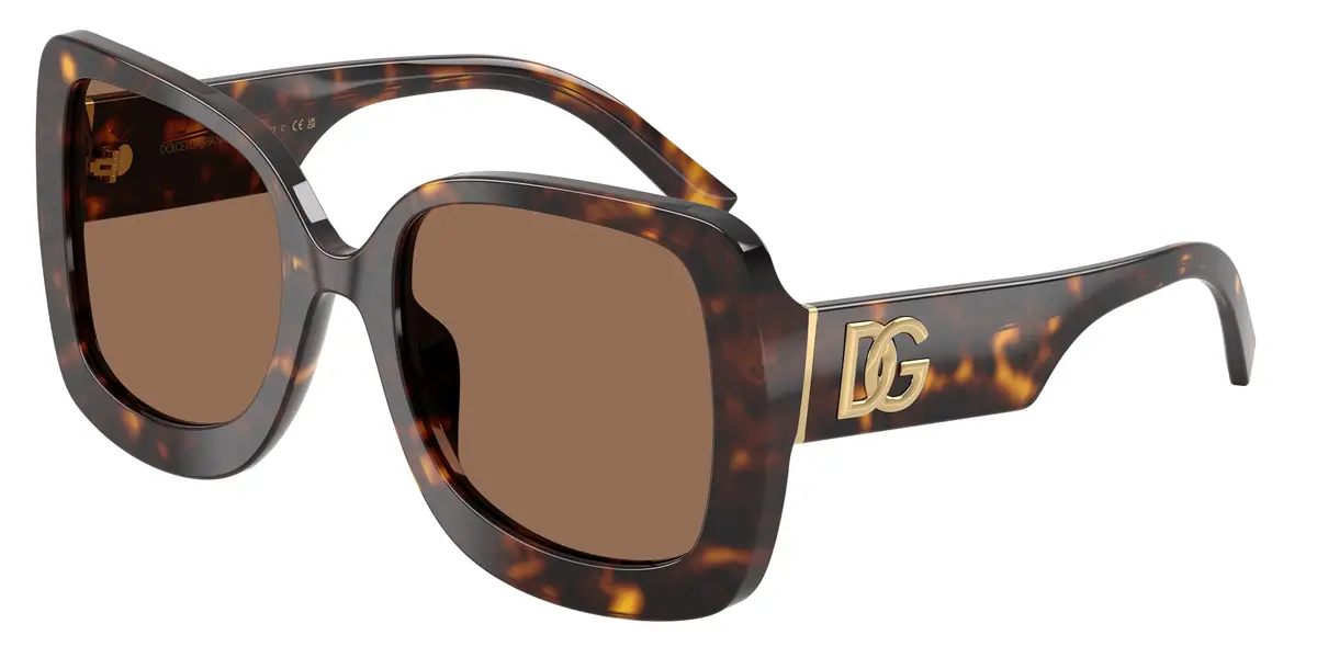 Dolce & Gabbana 4513 Sunglasses 1
