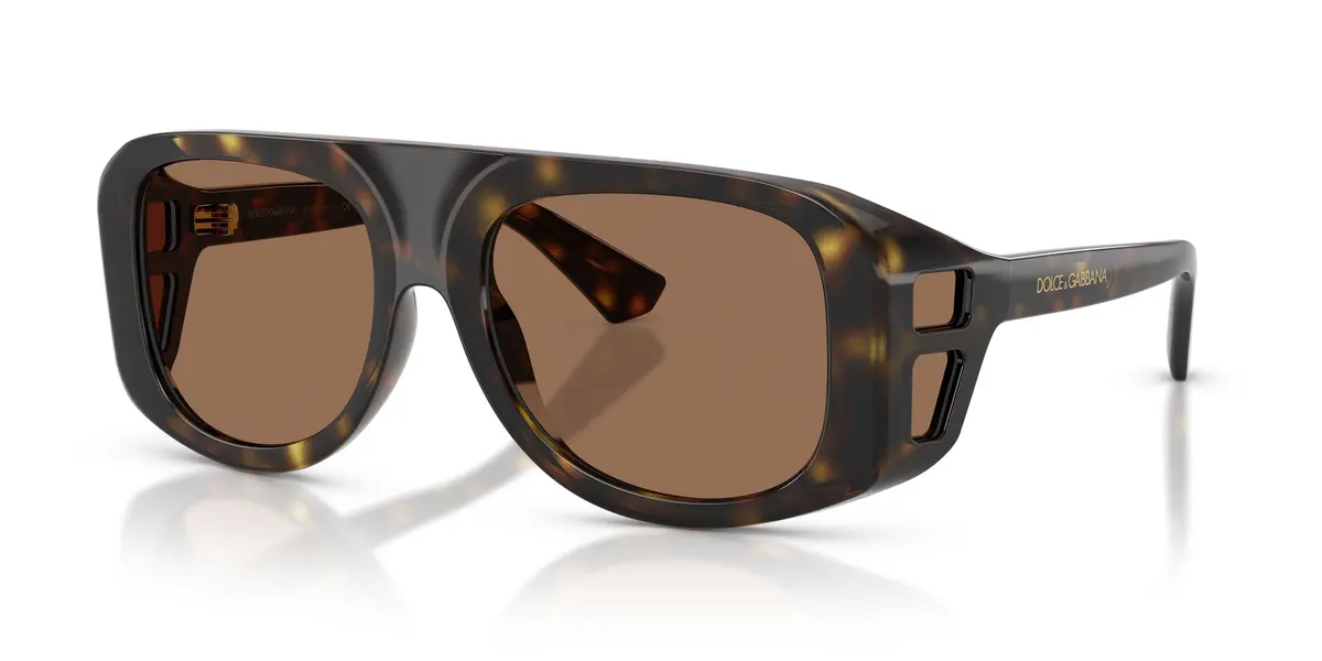 Dolce & Gabbana 6208 Sunglasses 1