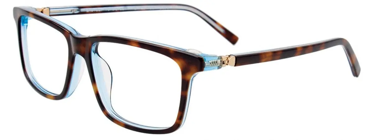 Easyclip Ec516 Eyeglasses 1