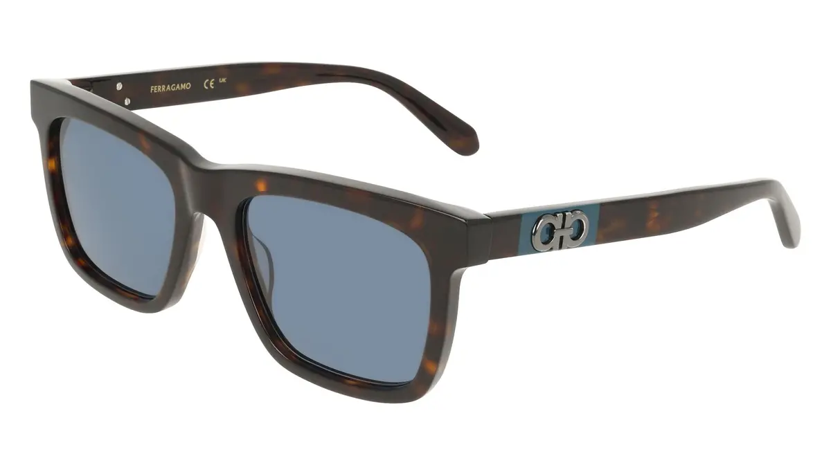 Salvatore Ferragamo Sf2113s Sunglasses 1