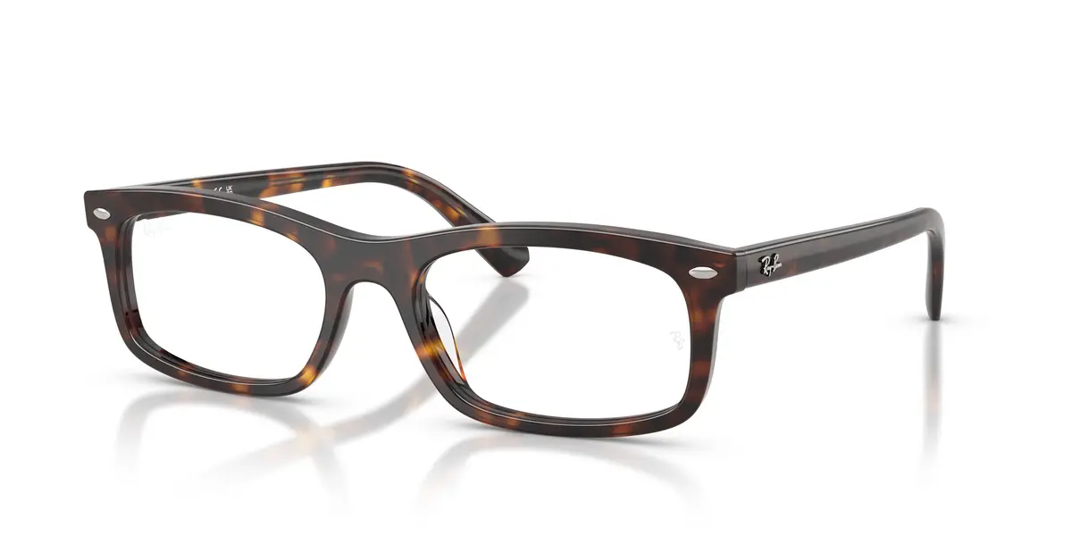 Ray-Ban 5450F Eyeglasses 1