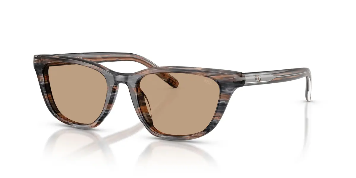 Diesel 2012U Sunglasses 1