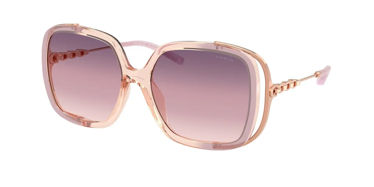 Coach Cad80 8423U Sunglasses 1