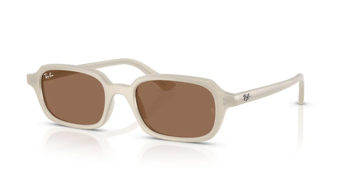 Ray-Ban Zuri 4455 Sunglasses 1