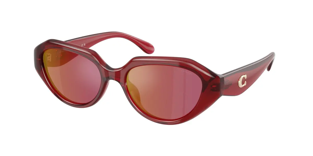 Coach Cby77 8433U Sunglasses 1