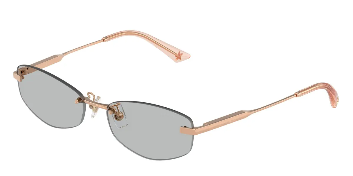 Jimmy Choo 4013D Sunglasses 1