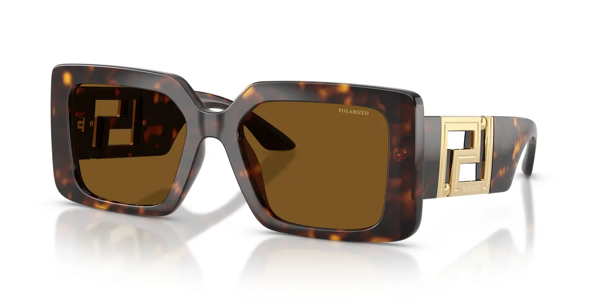 Versace 4505U Sunglasses 1