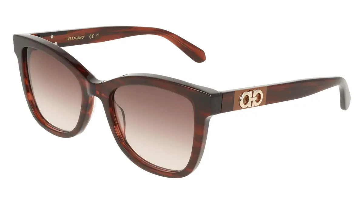 Salvatore Ferragamo Sf2108s Sunglasses 1