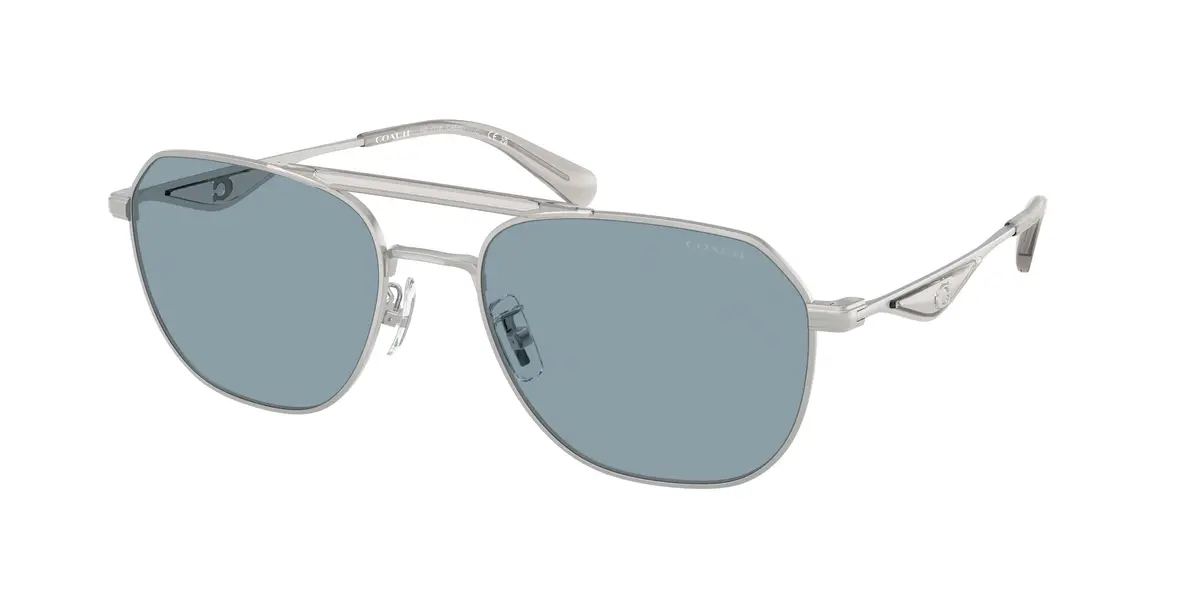 Coach Cae80 7178 Sunglasses 1