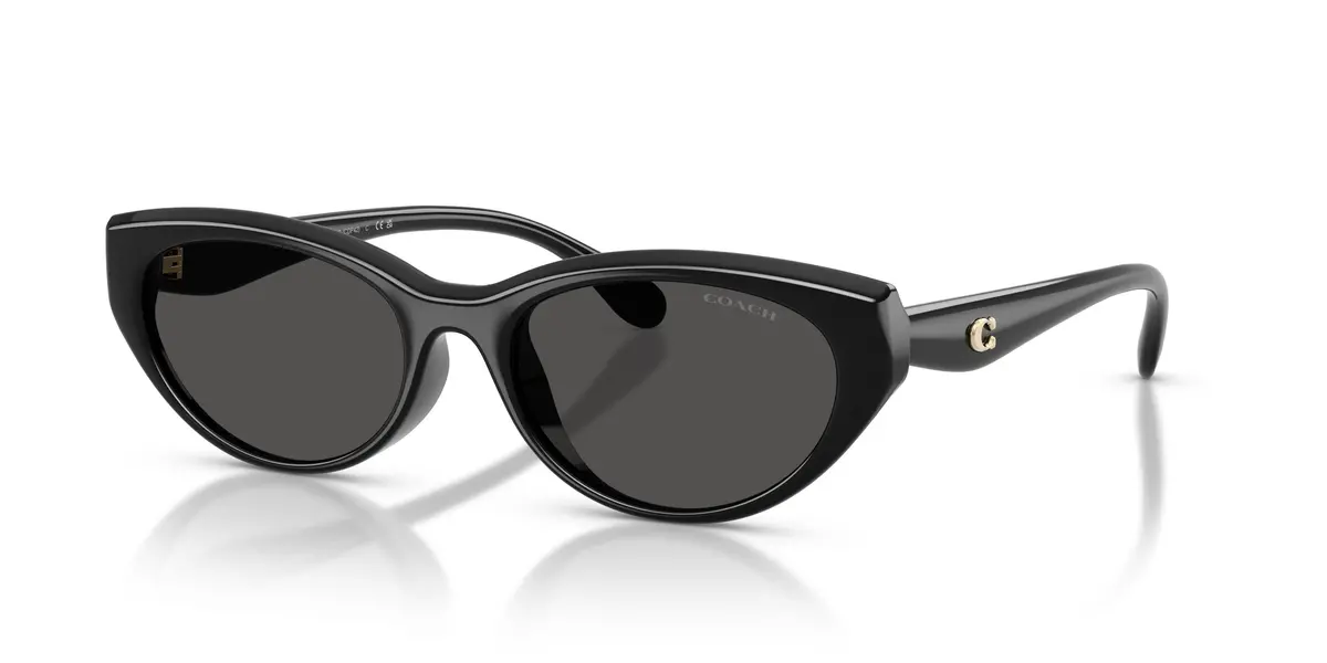 Coach Cdp42 8456D Sunglasses 1