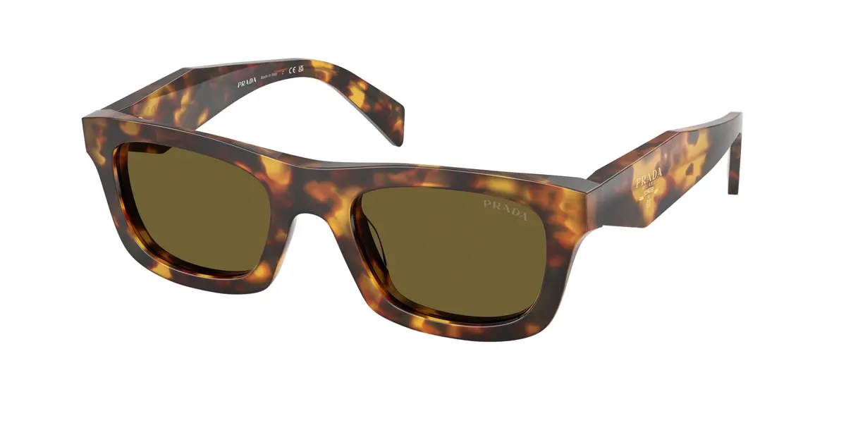 Prada C06s Sunglasses 1