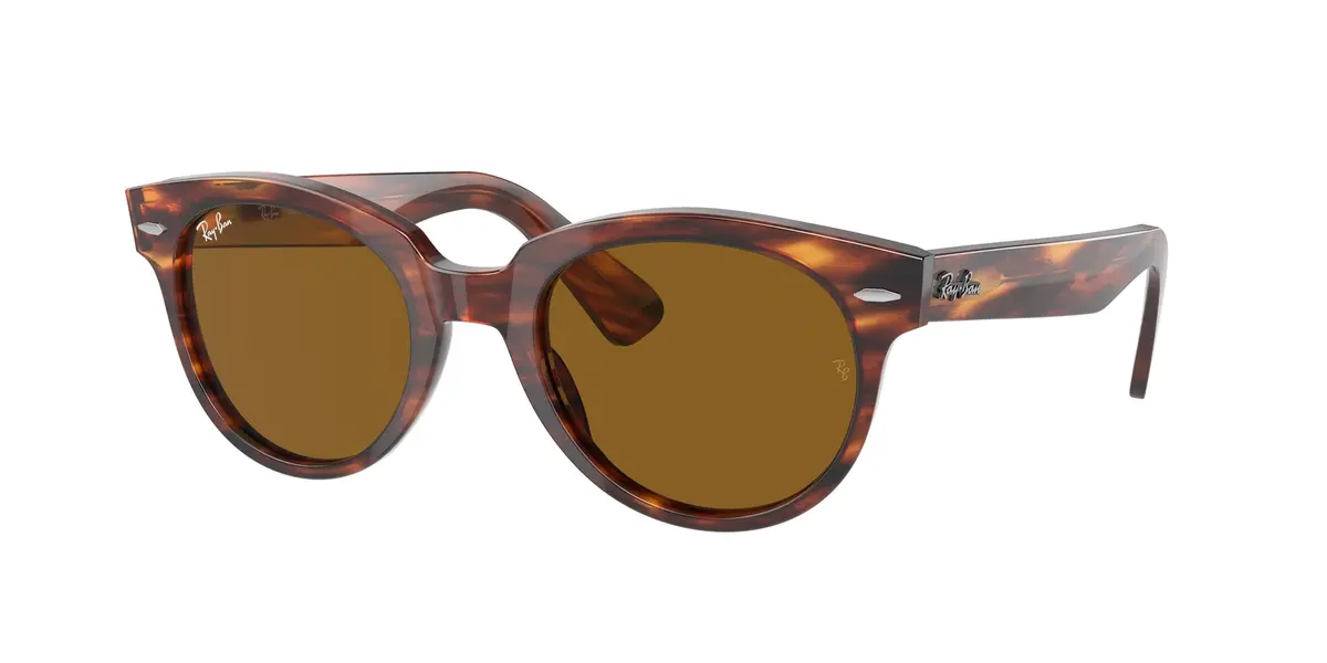 Ray-Ban Orion 2199F Sunglasses 1
