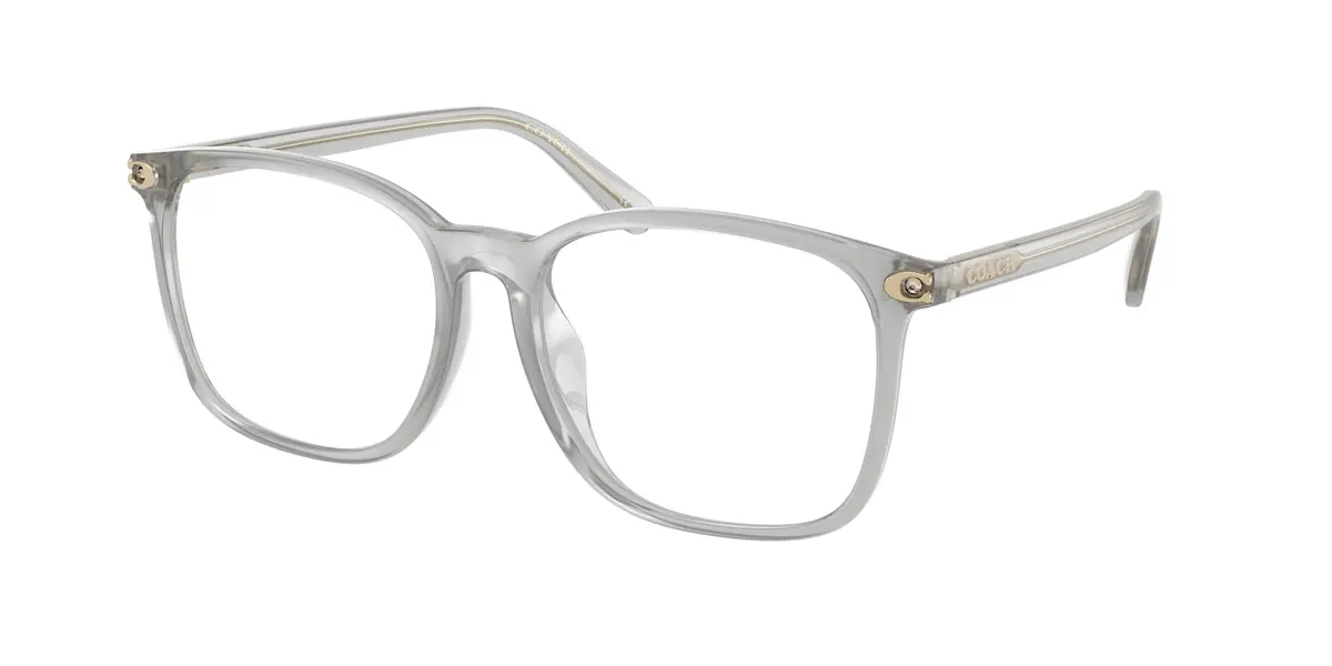 Coach 6254Bd Eyeglasses 1