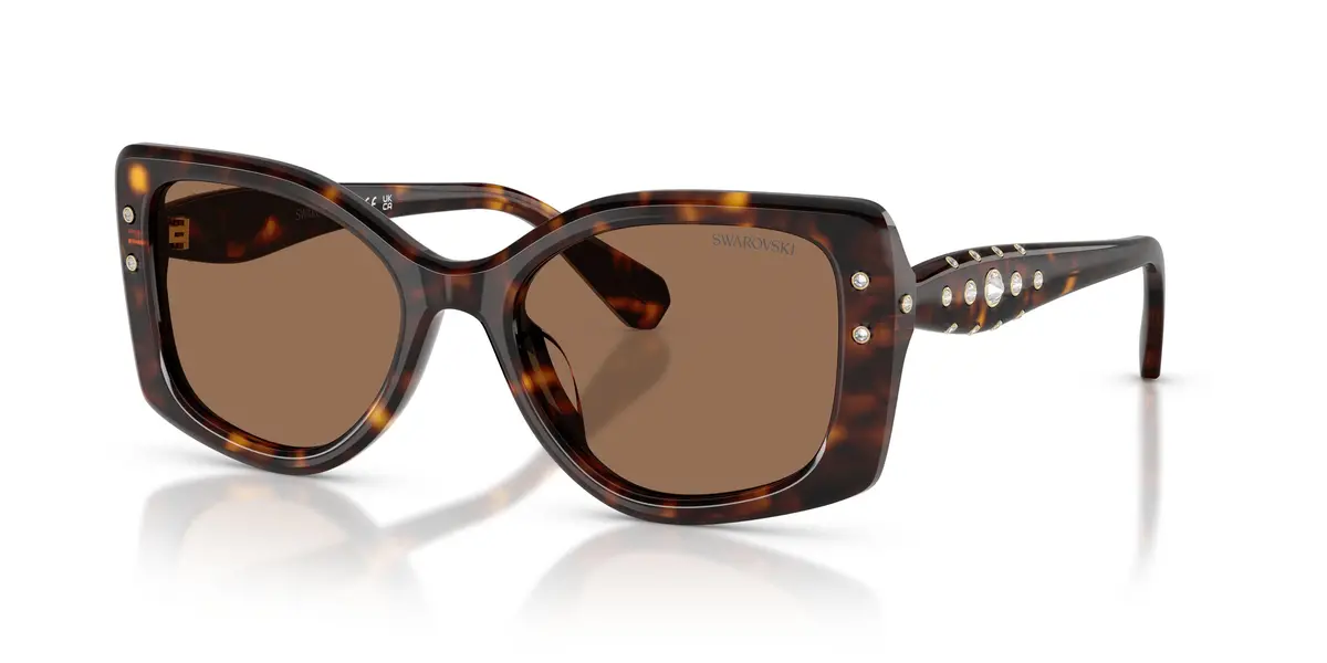 Swarovski 6058U Sunglasses 1