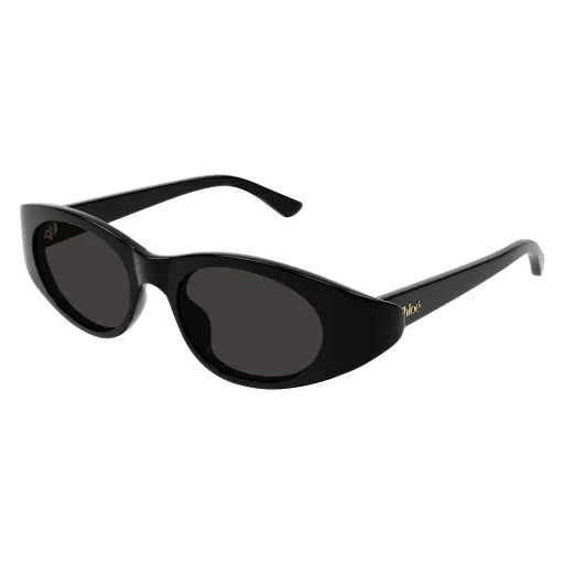 Chloe Ch0279s Sunglasses 1