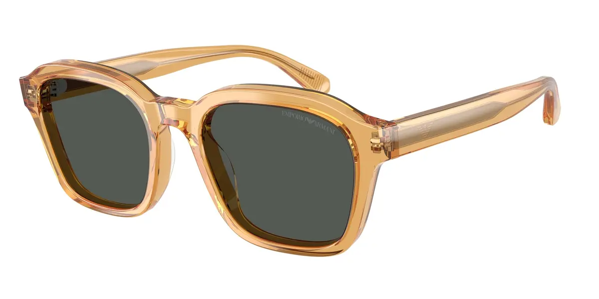Emporio Armani 4245U Sunglasses 1