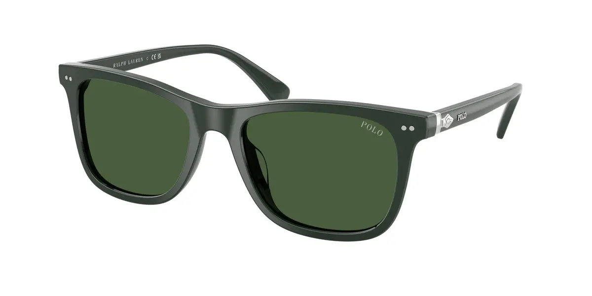 Polo 4220F Sunglasses 1