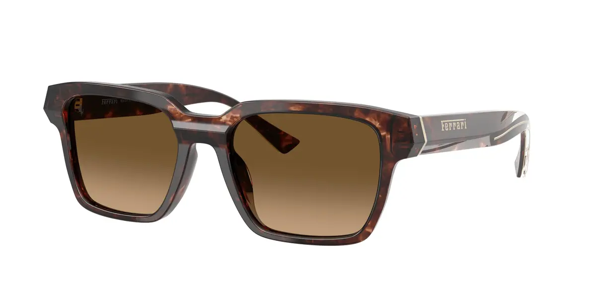 Ferrari 2011U Sunglasses 1