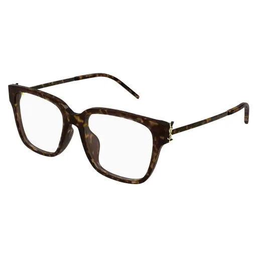 Saint Laurent Sl M48o_A/Fn Eyeglasses 1