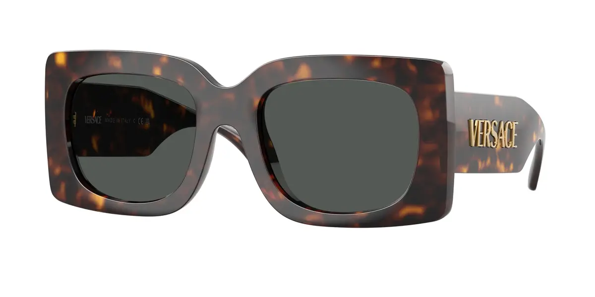 Versace 4496U Sunglasses 1