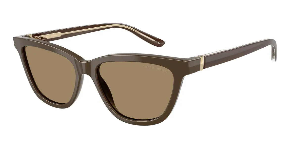 Giorgio Armani 8221 Sunglasses 1