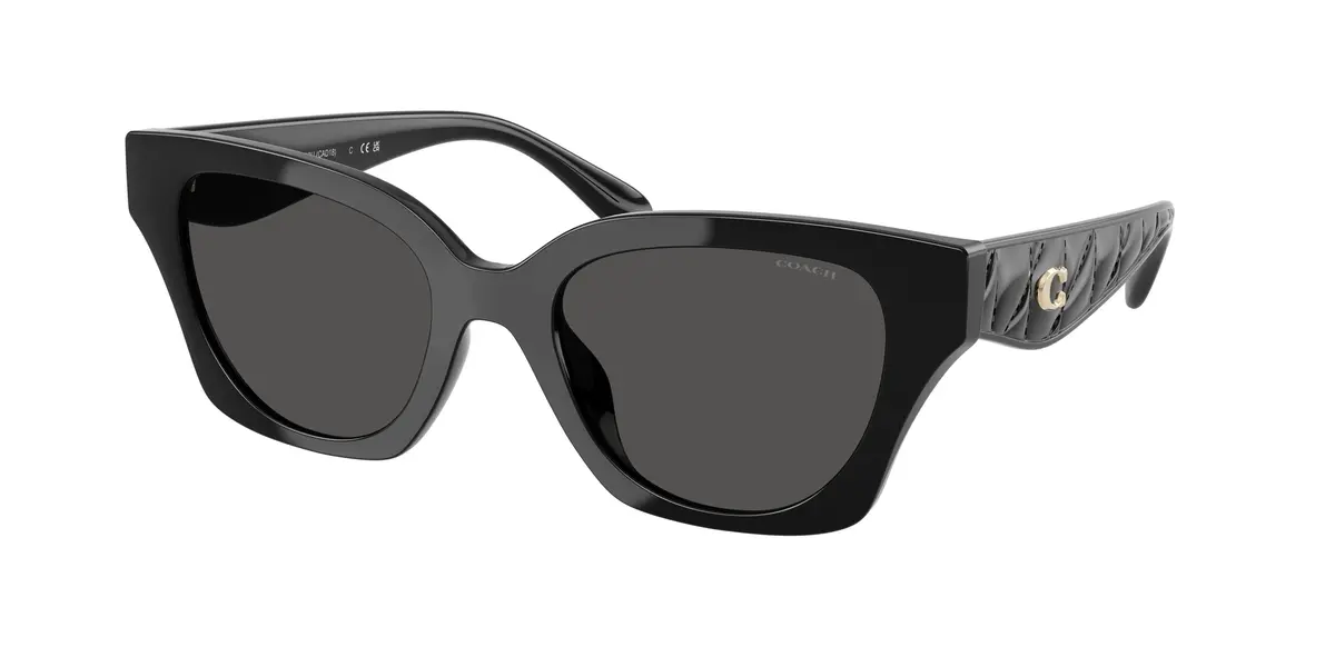 Coach Cad18 8418U Sunglasses 1