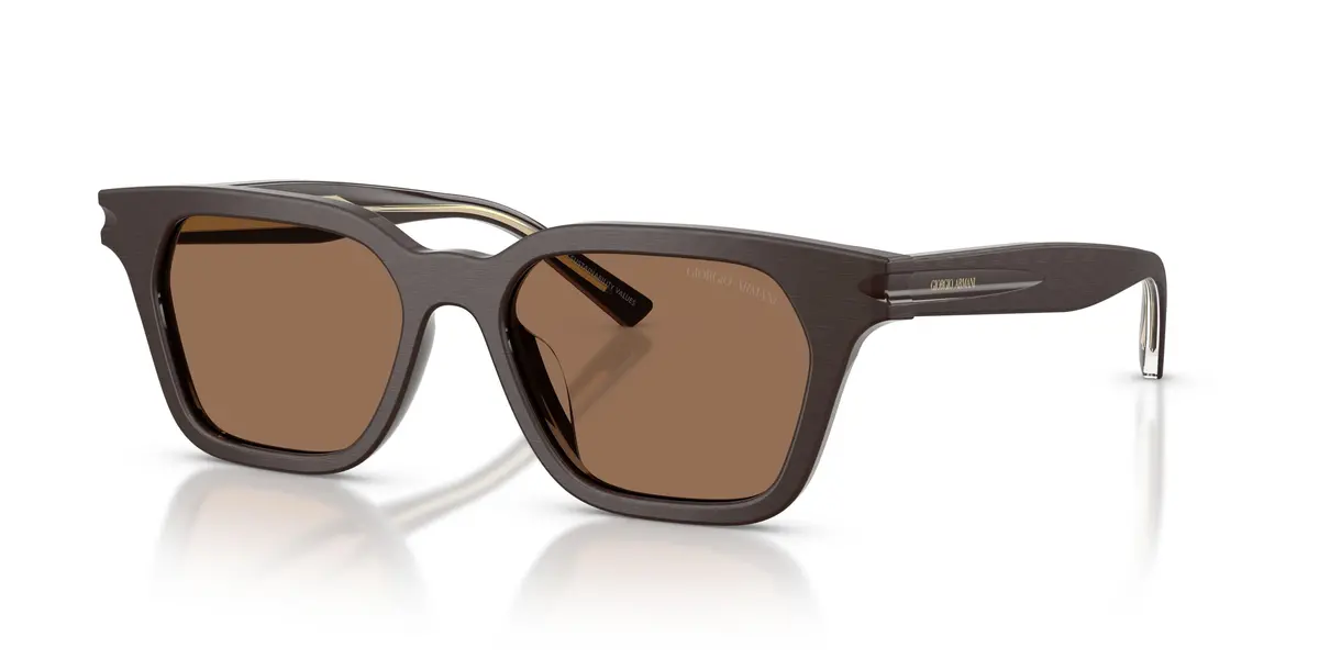 Giorgio Armani 8251U Sunglasses 1