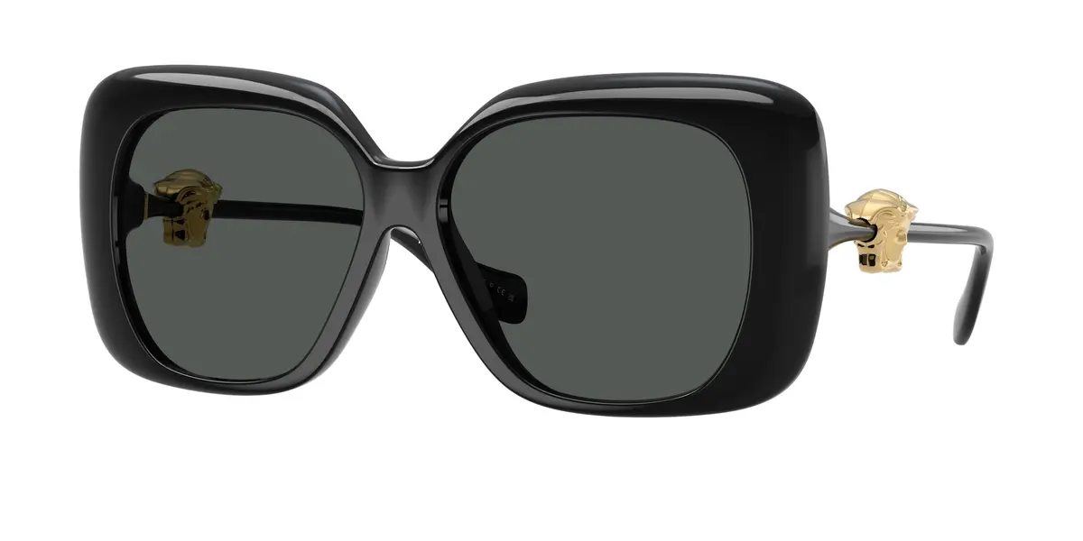 Versace 4499U Sunglasses 1