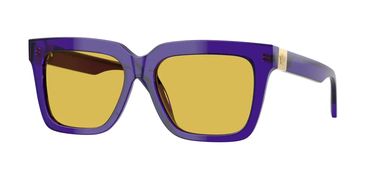 Versace 4498F Sunglasses 1