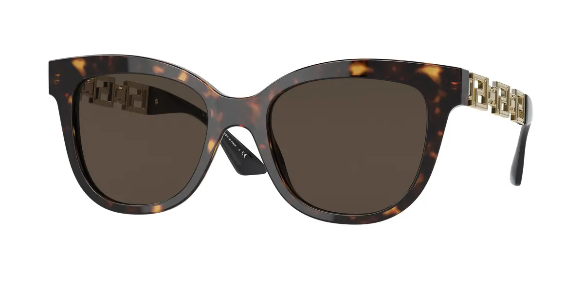 Versace 4394F Sunglasses 1