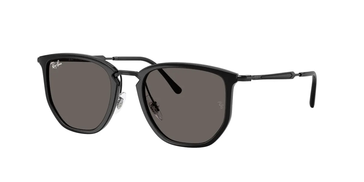 Ray-Ban 4451 Sunglasses 1