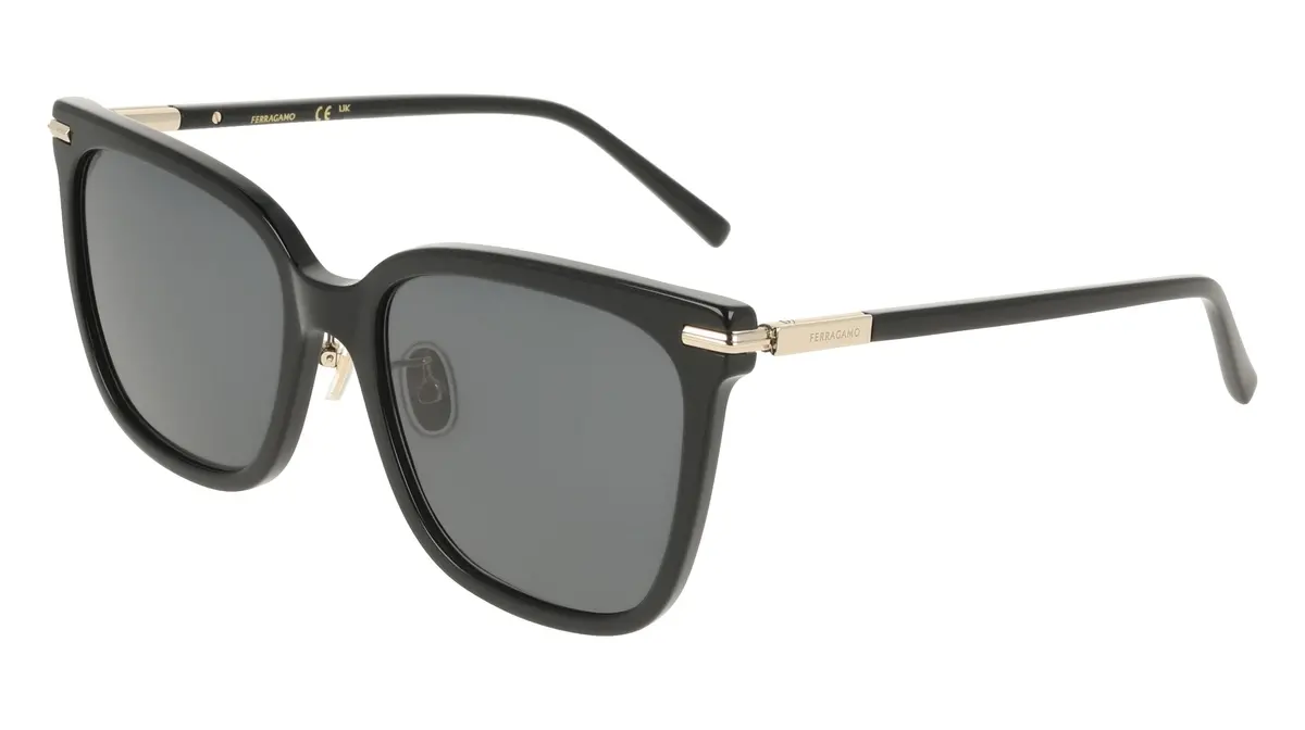 Salvatore Ferragamo Sf2037slb Sunglasses 1