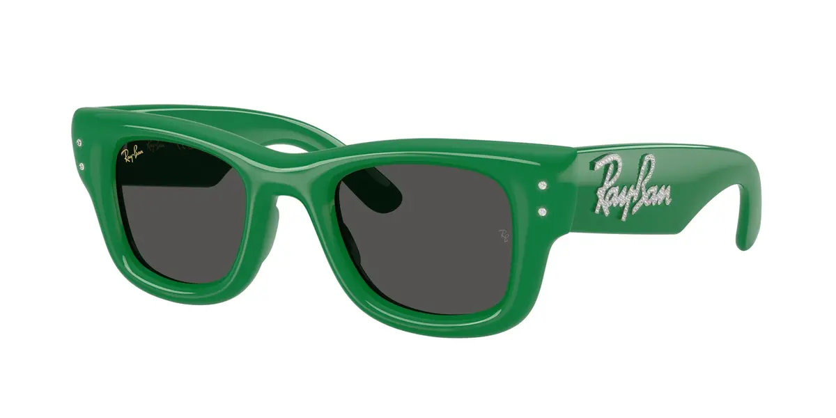 Ray-Ban Wayfarer Puffer 4940B Sunglasses 1