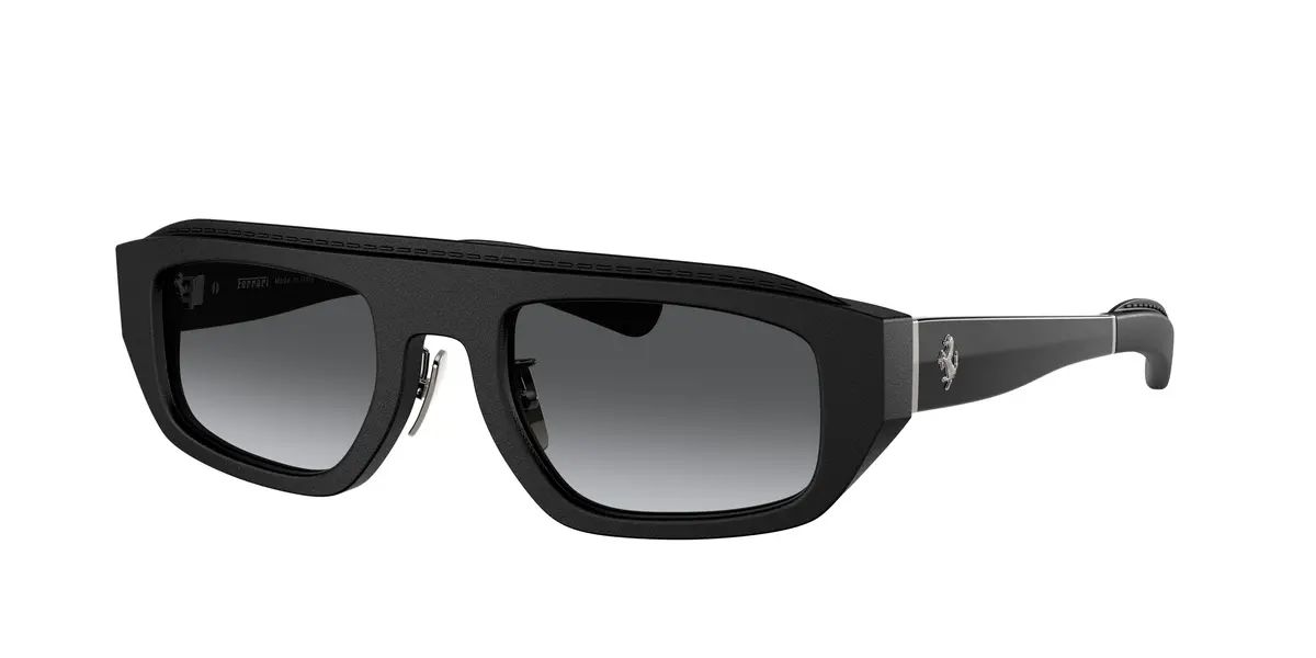 Ferrari 2010Q Sunglasses 1