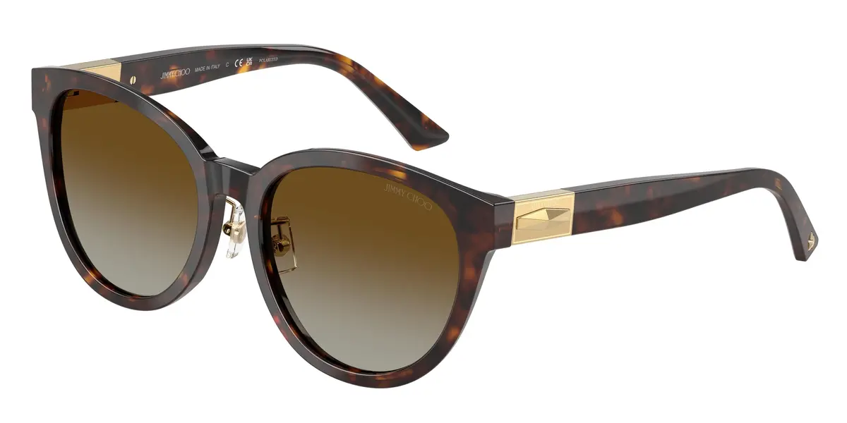 Jimmy Choo 5032D Sunglasses 1