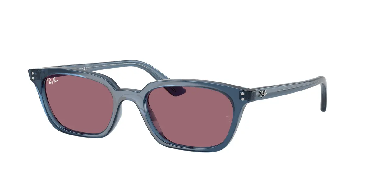 Ray-Ban Zaya 4456 Sunglasses 1