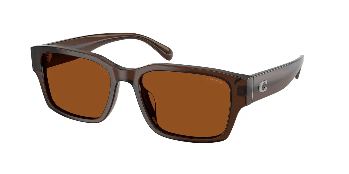 Coach Cby96 8441U Sunglasses 1
