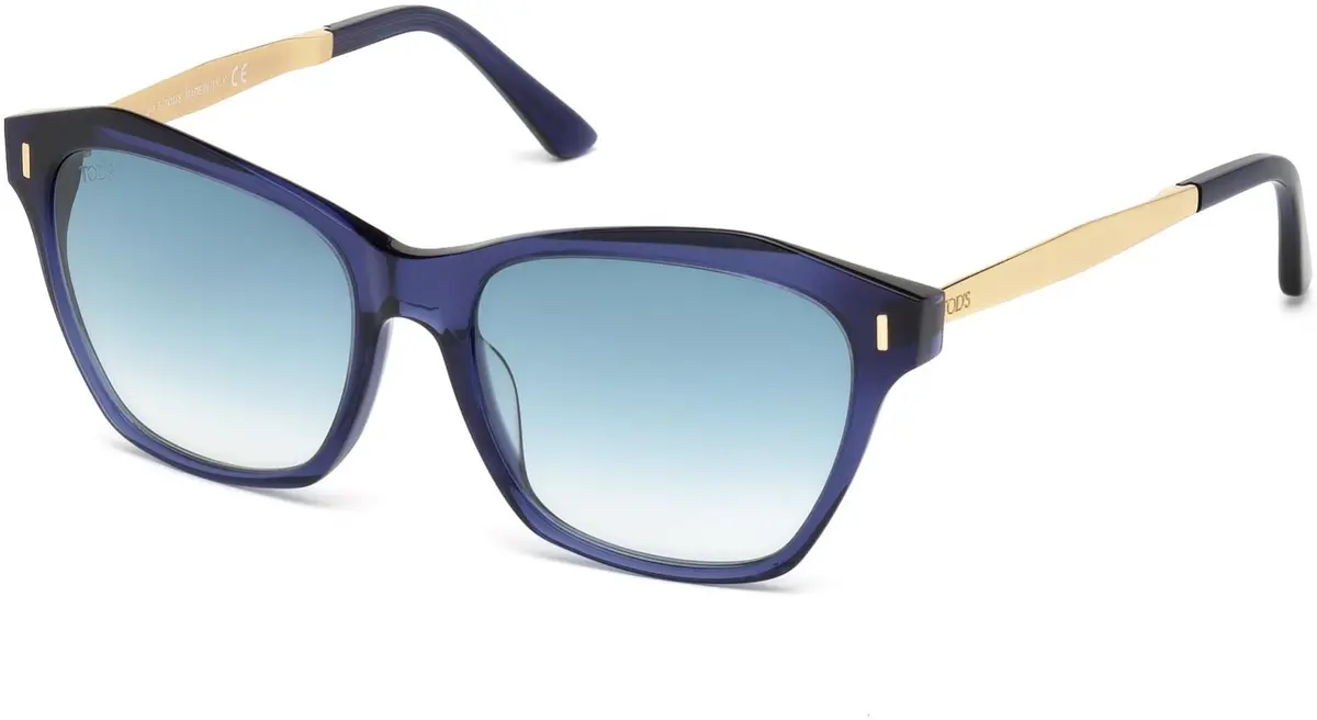 Tod's 0169 Sunglasses 1