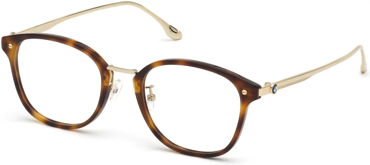 Bmw 5013 Eyeglasses 1