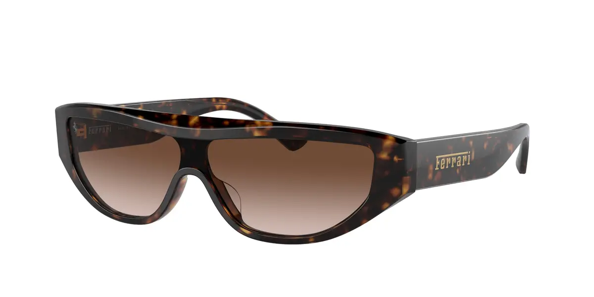 Ferrari 2004U Sunglasses 1