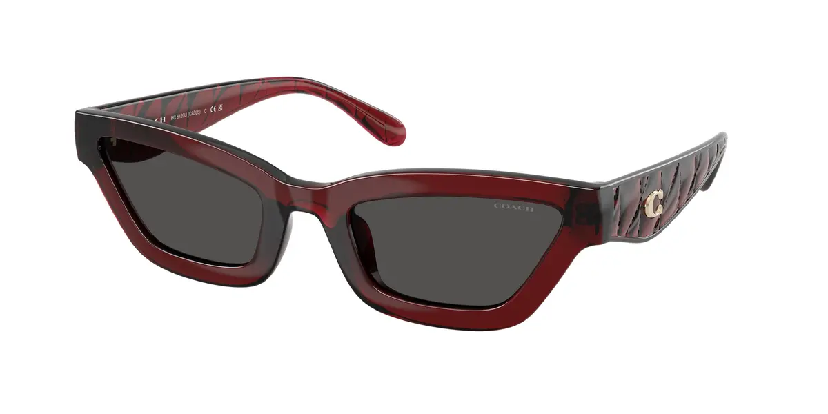 Coach Cad28 8420U Sunglasses 1