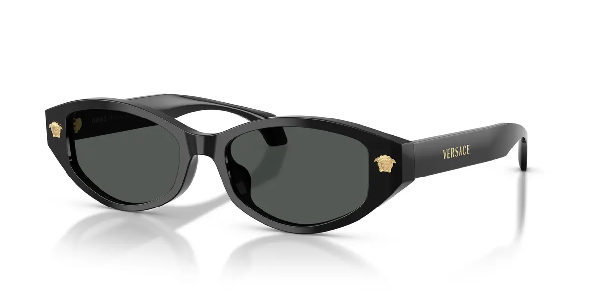 Versace 4512D Sunglasses 1