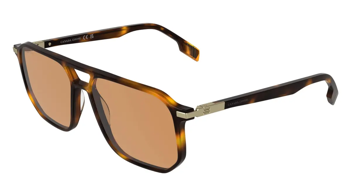 Canada Goose Gc26601se Sunglasses 1