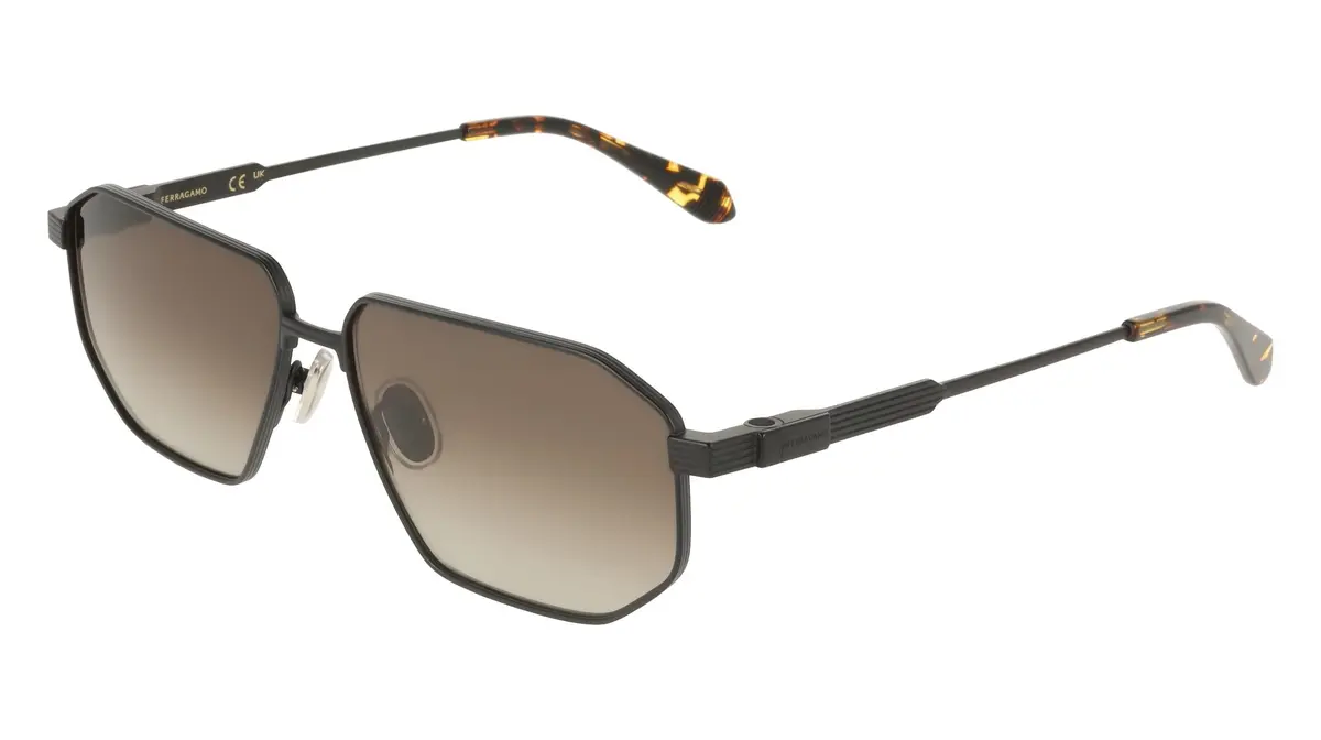 Salvatore Ferragamo Sf340s Sunglasses 1