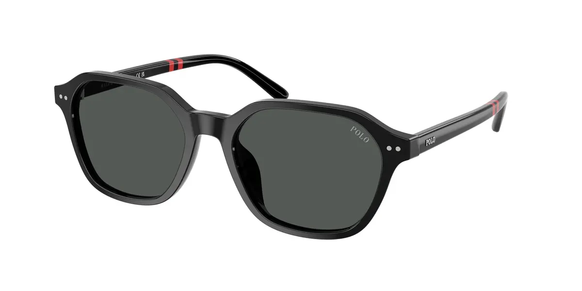 Polo 4234U Sunglasses 1