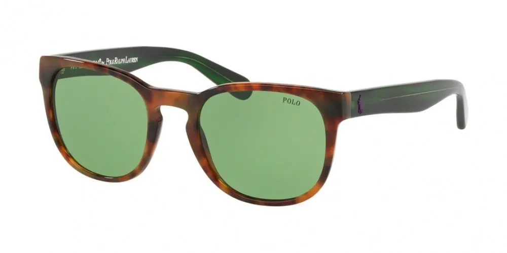 Polo 4099 Sunglasses 1