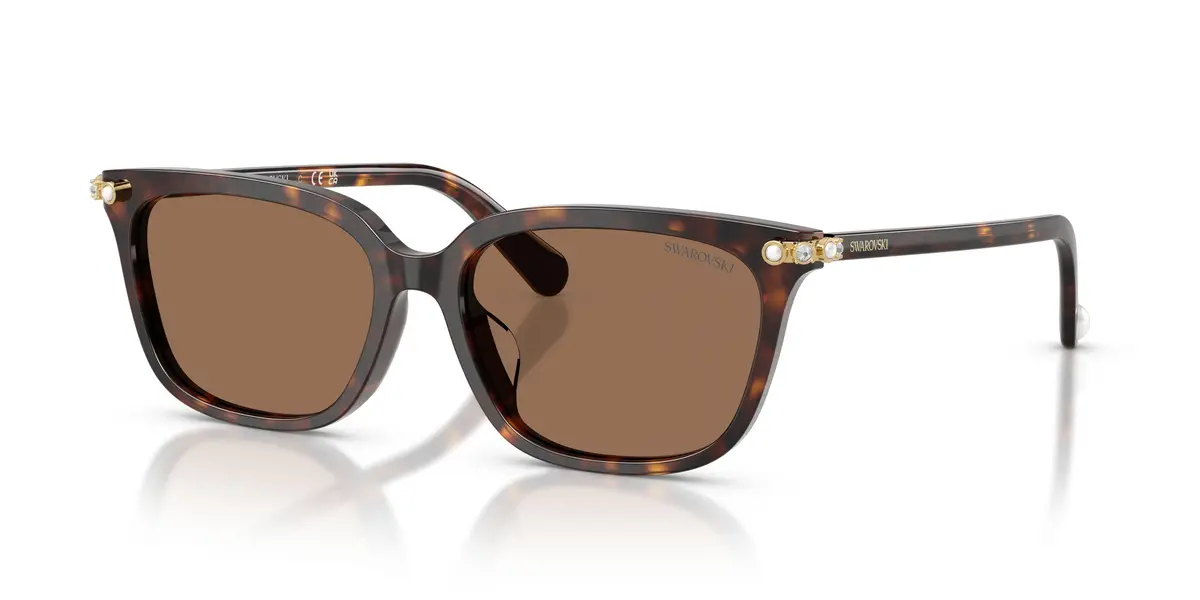 Swarovski 6064D Sunglasses 1