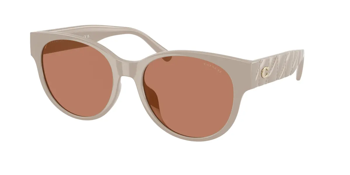 Coach Cae87 8430D Sunglasses 1